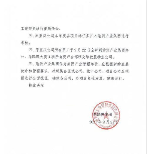 新鷗鵬戰(zhàn)略調(diào)整 撤銷(xiāo)重慶公司，員工并入渝州產(chǎn)業(yè)集團(tuán)推動(dòng)文化藝術(shù)交流