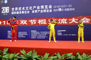 2018世界武術(shù)文化產(chǎn)業(yè)博覽會(huì)雙節(jié)棍交流大會(huì)圓滿(mǎn)落幕，推動(dòng)文化藝術(shù)交流新高度